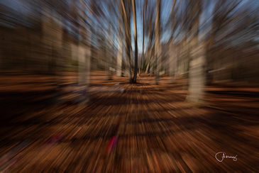 Chuck Almarez - Zoom.jpeg