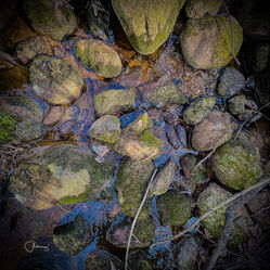 Chuck Almarez - Unique Angle 2.jpeg