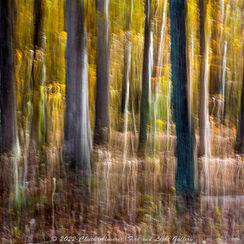 Chuck Almarez - Abstract.jpg