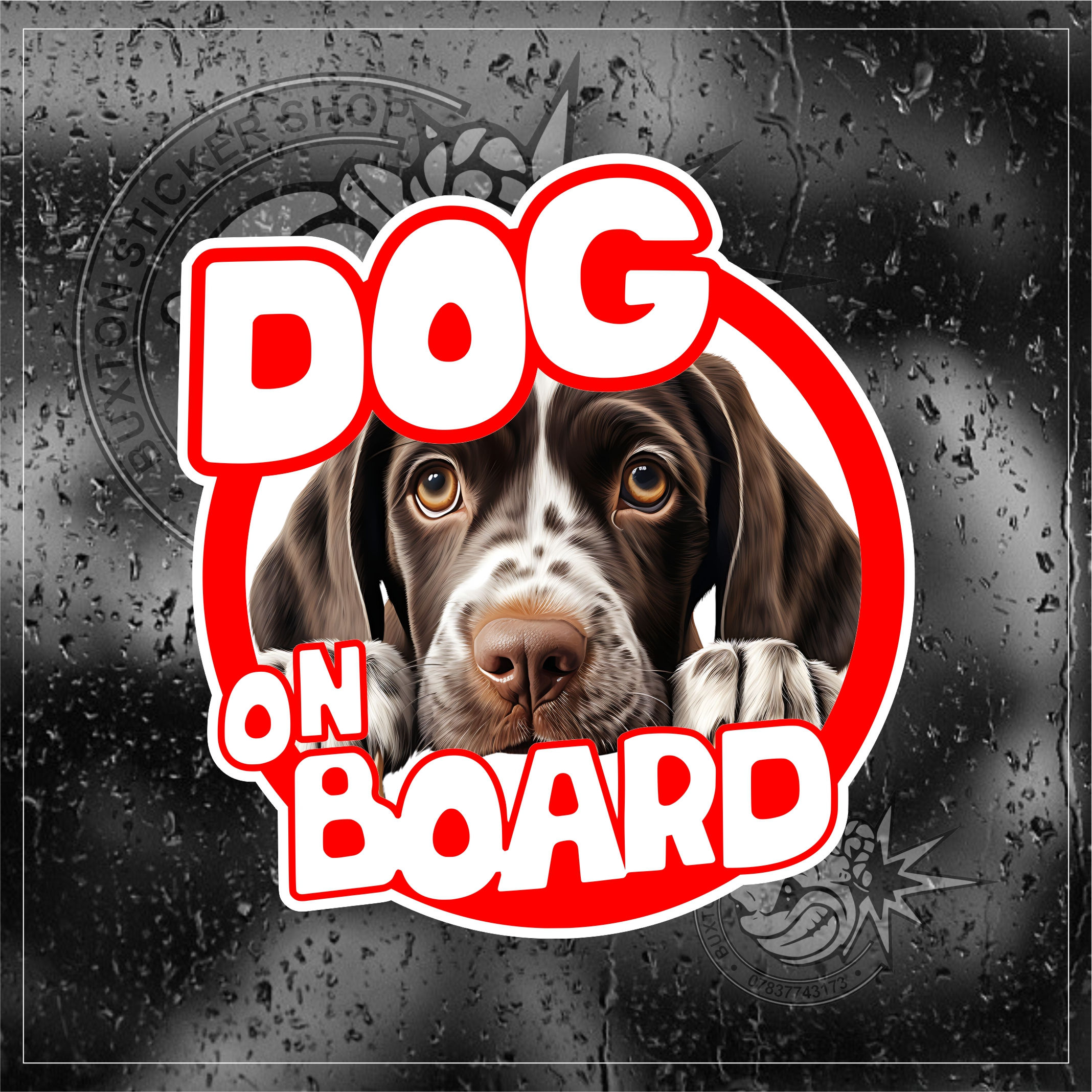 Dog On Board Shorthaired Pointer Sticker Car Bumper Vinyl Motorhome Van Decal