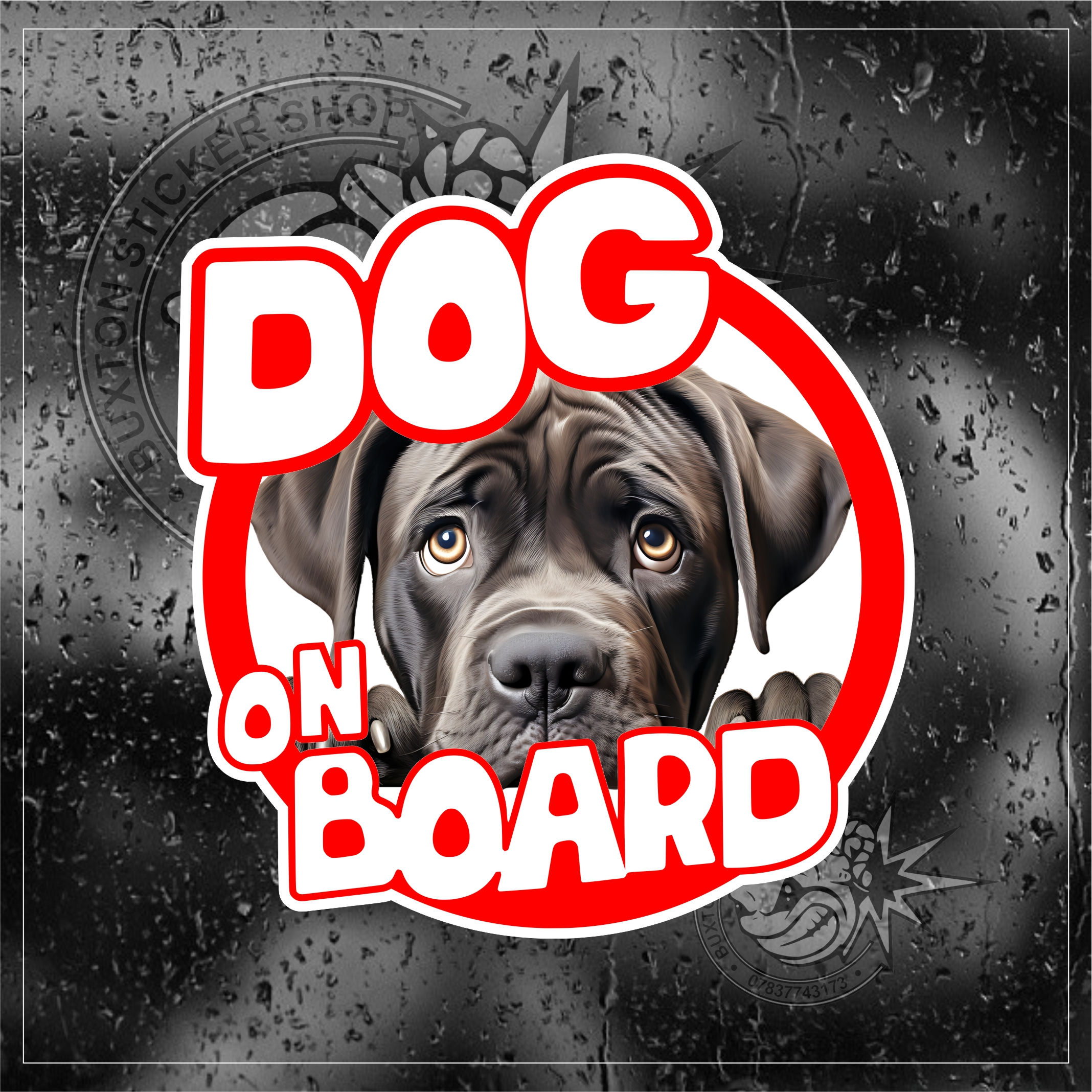 Dog On Board Cane Corso Sticker Car Bumper Vinyl Motorhome Van Decal Campervan