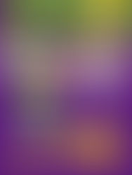 Campus estivo: un’esperienza concreta per crescere