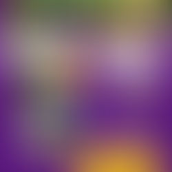 Campus estivo: un’esperienza concreta per crescere