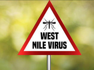 Emergenza di Ferragosto: Vaiolo delle Scimmie e West Nile