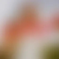 BELLAH MAE | LOVE ME LESS