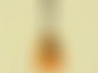 VINCE GILL | 50 YEARS FROM HOME: I GAVE YOU EVERYTHING I HAD