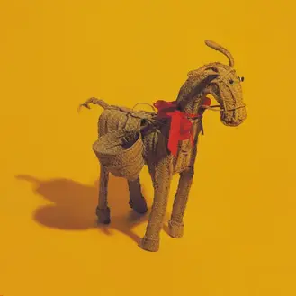 CARTER THE UNSTOPPABLE SEX MACHINE | STRAW DONKEY… THE COMPLETE SINGLES 