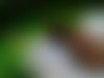 SAVANNAH RÉ | HOLD YOU