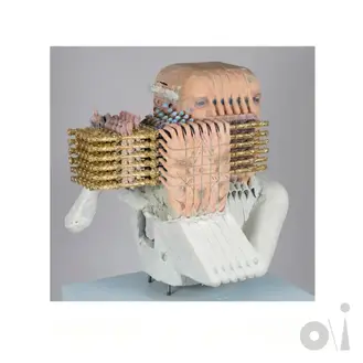 PETER GABRIEL | ONE BY ONE (BRIGHT-SIDE MIX) - SINGLE