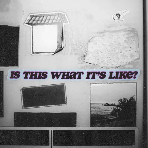 SAID, NEVER, ZACH BENSON & TYLER ADLAM  | IS THIS WHAT IT'S LIKE?