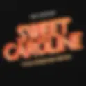 NEIL DIAMOND & TWO FRIENDS | SWEET CAROLINE (TWO FRIENDS REMIX)