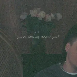 DYLAN BRADY | YOU’RE LEAVING AREN’T YOU?