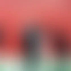 THE WHITE STRIPES | WHITE BLOOD CELLS (DELUXE) (2001)