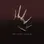 AGAINST THE CURRENT | WHITE NOISE - SINGLE
