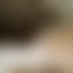 LAUREN ROSE | IN YOUR ARMS