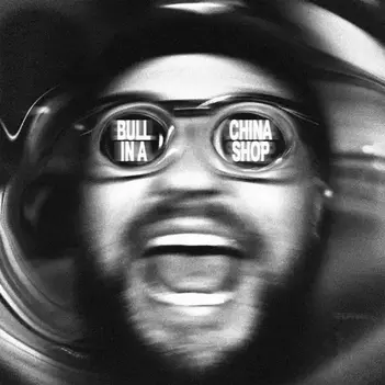 QUINN XCII | BULL IN A CHINA SHOP - SINGLE