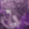 ROSELIA | REQUIEM FOR FATE