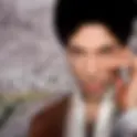 PRINCE | MAGNIFICENT