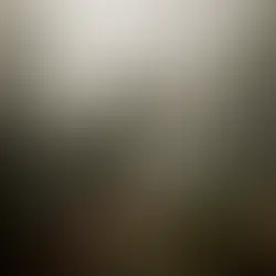 LADYTRON | A DEATH IN LONDON