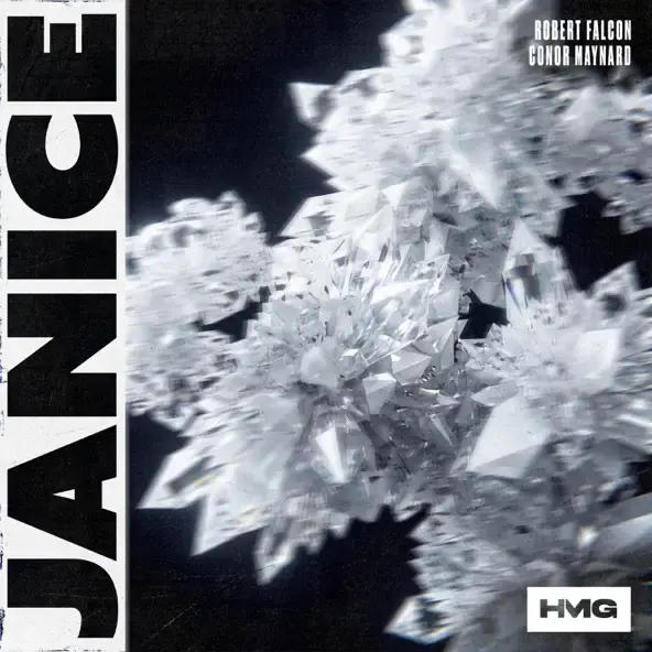 ROBERT FALCON & CONOR MAYNARD | JANICE (WITH CONOR MAYNARD) - SINGLE