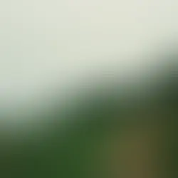 GAVIN HALEY | PURPLE AND GREEN