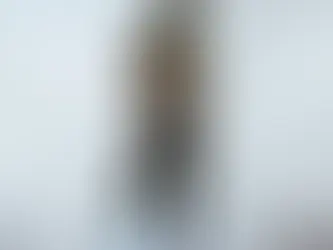 DANNY BROWN | STARDUST