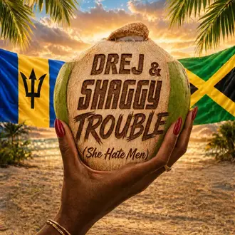 DREJ & SHAGGY | TROUBLE (SHE HATE MEN) [DEMO] - SINGLE