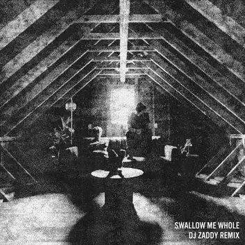 SAID, NEVER, ZACH BENSON & TYLER ADLAM | SWALLOW ME WHOLE (DJ ZADDY REMIX)