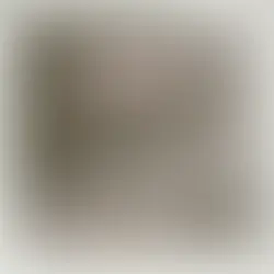 PICTURE THIS | IT'S CHRISTMAS TIME