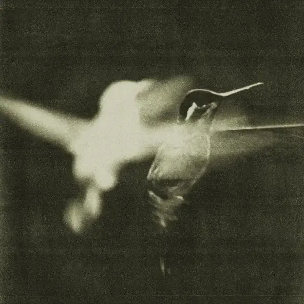 WINGS OF DESIRE | THE WAY YOU FEEL - SINGLE