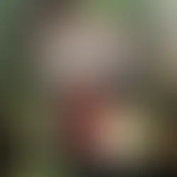 VAN HALEN | WHY CAN'T THIS BE LOVE (EXTENDED VERSION) [2026 REMASTER]