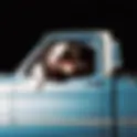 DASHA | 82 CHEVY - SINGLE