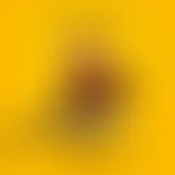 SZA | SAVE THE DAY (FROM "HOPPERS")