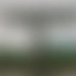 WILL SPARKS | TEARDROP