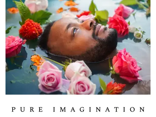 WYN STARKS | PURE IMAGINATION