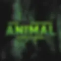 R3HAB & JASON DERULO | ANIMAL (R3HAB VIP REMIX)