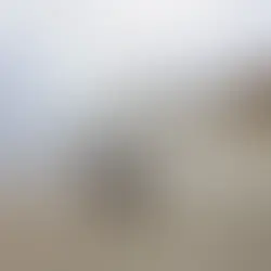 ALLIE X | HAPPINESS IS GOING TO GET YOU