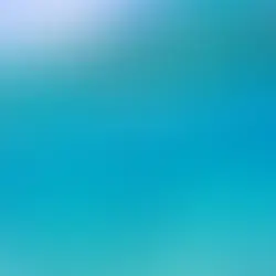 SIA SHELLS | RIDING THE WAVE