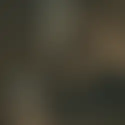 SIKARUS | CHALLENGE COIN