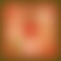 DAY6 | LOVIN' THE CHRISTMAS