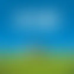 BON JOUR | HOW LONG IS FOREVER - EP