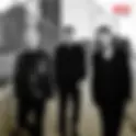 DOGSTAR | ALL IN NOW