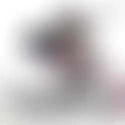 MIRIANA CONTE | OVERSTIMULATED