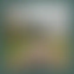 IMPALA RAY | FRIDA - SINGLE