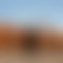 MICHAEL PATRICK KELLY | TRACES