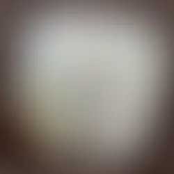 GOTYE | BOARDFACE (2003)