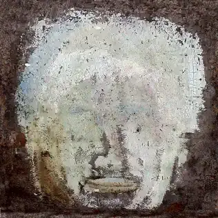 GOTYE | BOARDFACE (2003)