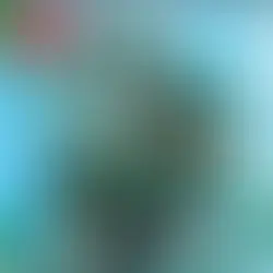 BIF NAKED | I,BIFICUS XXV ANNIVERSARY (2023 REMASTERED VERSION) (2023)