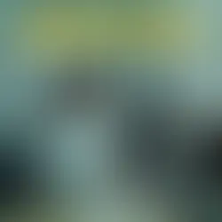 RITA SANTOS | ANESTESIA