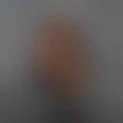 THEE DIANE | BONJOUR (DELUXE)